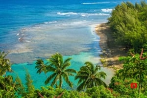 Kauai: Hoogtepunten van het eiland audiogids