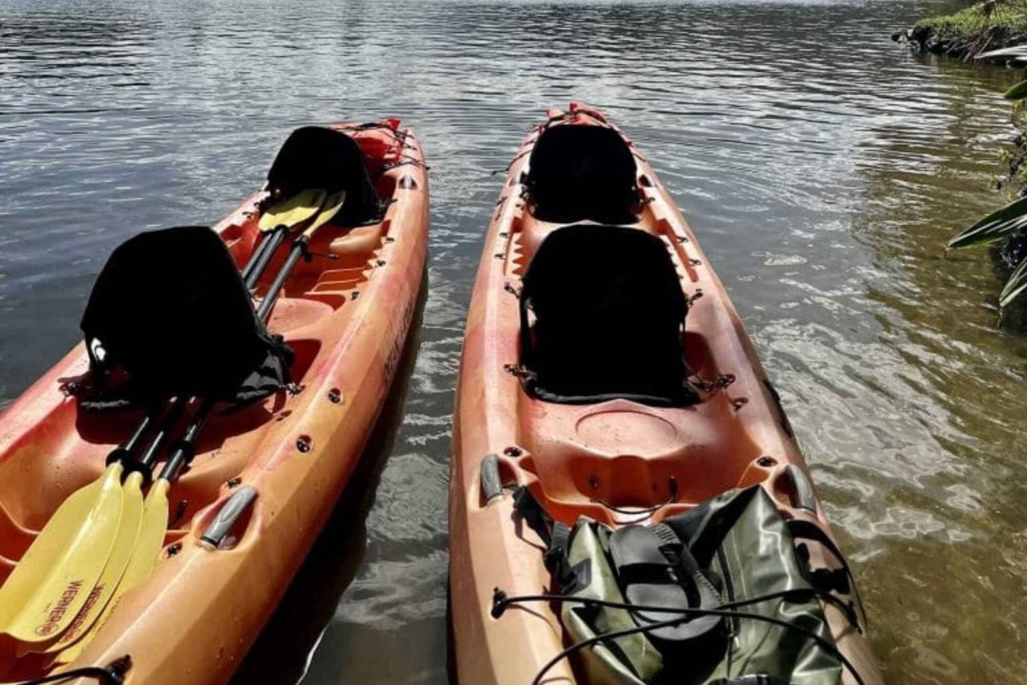 Kauai : Kayak et randonnée guidés vers les chutes secrètes