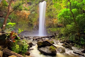 カウアイ島シークレット滝へのガイド付きカヤックとハイキング