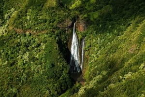 Kauai: Hele Kauai Air Tour med vinduessæder
