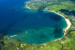 Kauai: Intero tour aereo di Kauai con posti a sedere a finestra
