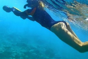 Kauai : Aventure de plongée avec masque et tuba en scooter des mers