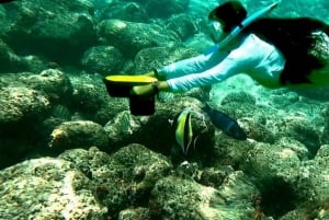 Kauai : Aventure de plongée avec masque et tuba en scooter des mers