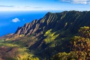 Paquete de viaje a Kauai: Viaje en coche por carretera con GPS