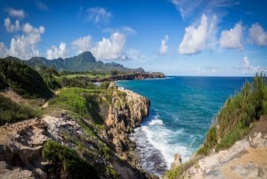 Pacchetto tour di Kauai: Viaggio in auto con GPS