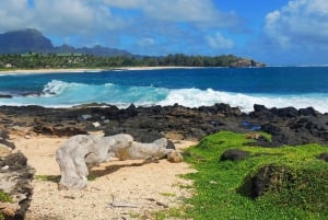 L'offre groupée Kauai : Excursion en voiture avec GPS