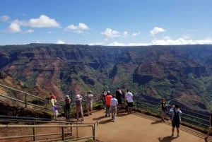 Kauai - Voyage à Waimea Canyon, Spouting Horn et plus encore