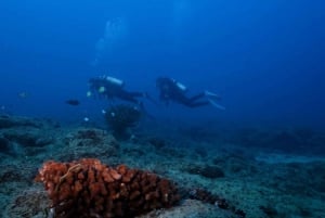 Kauai: Nurkowanie z brzegu o zmierzchu/nocą