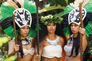 Kauai: VIP 4-gangendiner en Luau Kalamaku-show
