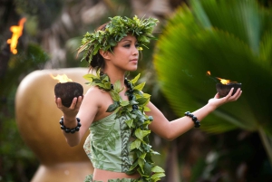 カウアイ：VIP マナーハウスディナー＆ルアウ・カラマクショー