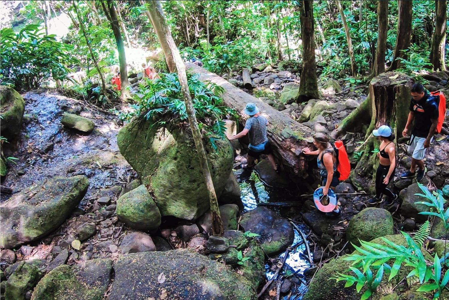 Kauai: Wailua River, kajakki- ja vaelluskierros salaisille putouksille