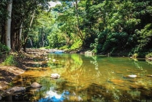 Kauai: Wailua River, kajakki- ja vaelluskierros salaisille putouksille