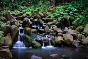 Kauai: Wailua River, kajakki- ja vaelluskierros salaisille putouksille