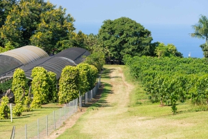 كاواي: جولة في وادي وايميا ومنتزه كوكي الحكومي