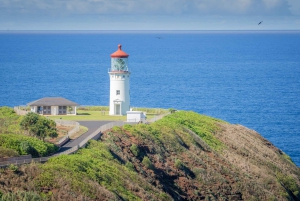 كاواي: جولة في وادي وايميا ومنتزه كوكي الحكومي