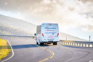 كاواي: جولة في وادي وايميا ومنتزه كوكي الحكومي