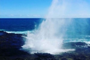 Ilha de Kauai : Excursão de aventura ao Waimea Canyon e às cascatas