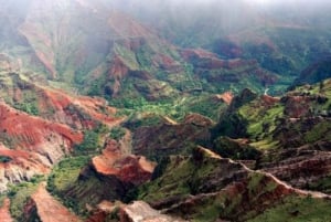 Kauai: Waimea Canyon ja vesiputousseikkailun päiväretki