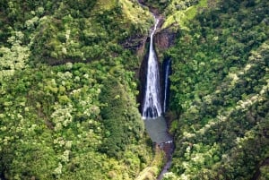 Från Lihue: Upplev Kauai på en helikoptertur med panoramautsikt