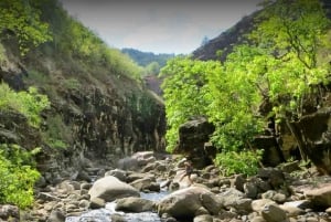 Кауаи: частный тур по каньону Ваймеа и государственному парку Кокеэ
