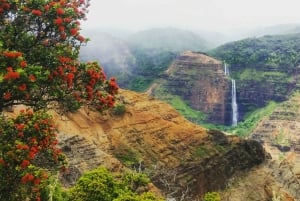 Kauai : Visite privée du Waimea Canyon & Kokeʻe State Park