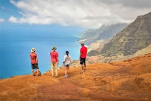Kauai: Waimea Canyon e Kokeʻe State Park Private Tour