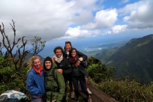 Kauai: Waimea Canyon & Kokeʻe State Park - privat tur