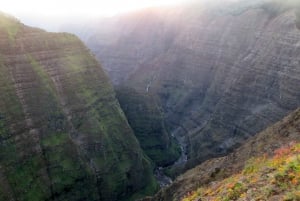 Kauai: Waimea Canyon & Kokeʻe State Park - privat tur
