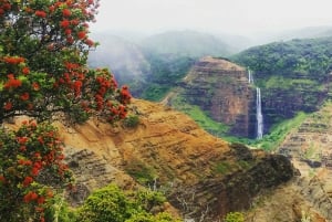 Kauai: Excursión Privada al Cañón de Waimea y al Parque Estatal de Kokeʻe
