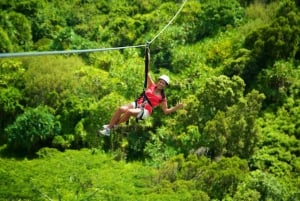 Kauai: Zipline Adventure