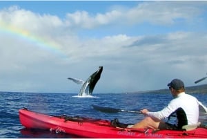 Kayak and Snorkel West Maui at Olowalu