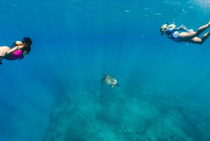 Observation des dauphins dans la baie de Kealakekua, excursion en bateau avec plongée avec tuba, barbecue
