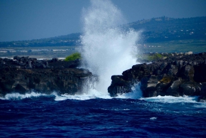 Observation des dauphins dans la baie de Kealakekua, excursion en bateau avec plongée avec tuba, barbecue