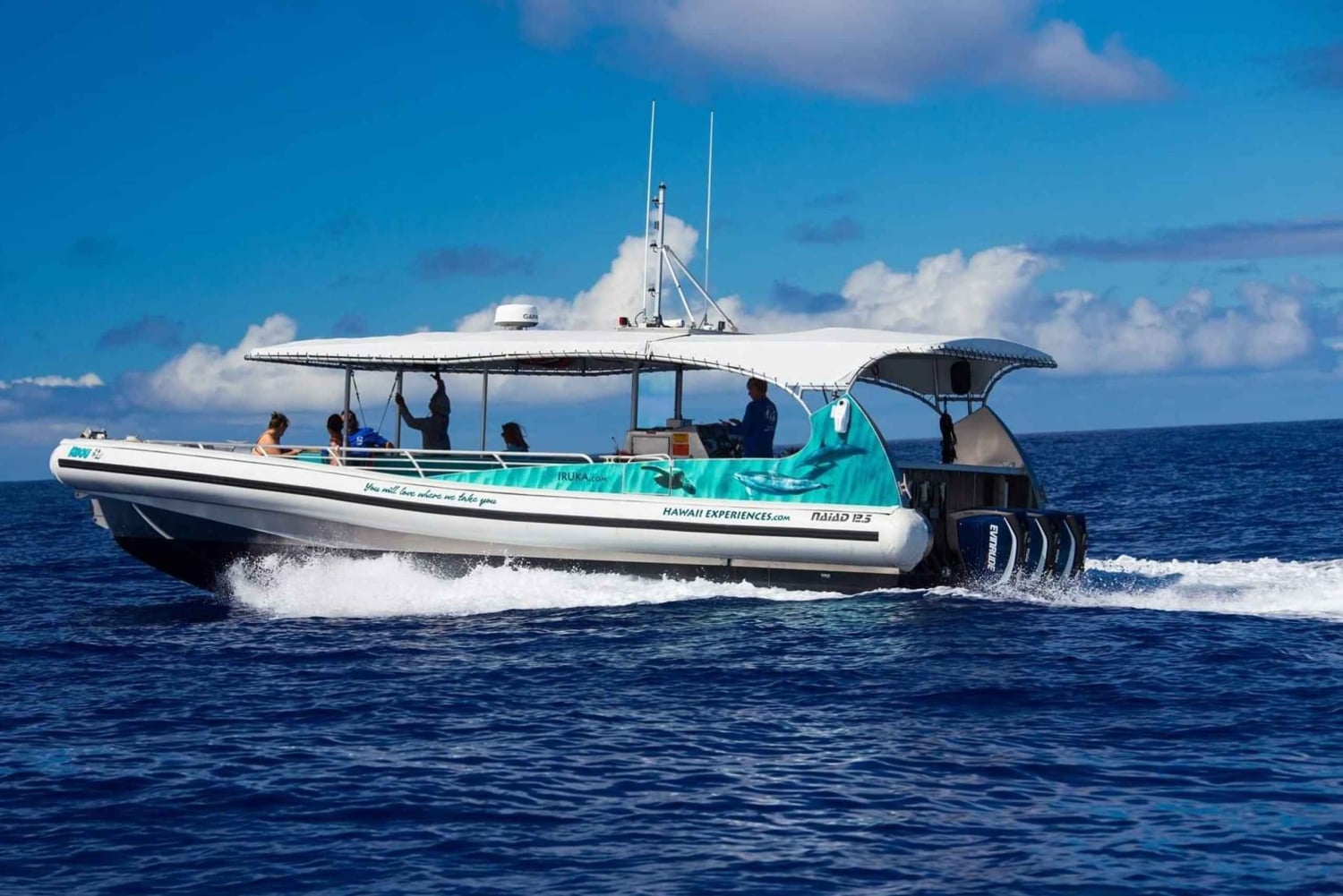 Kealakekua Bay Delfinbeobachtung, Schnorchelboot-Tour, BBQ