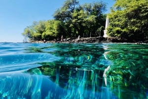 Kealakekua Bay Delfinbeobachtung, Schnorchelboot-Tour, BBQ