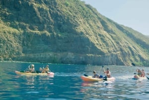 Kealakekua Bay: Kajakki- ja snorkkeliseikkailu: Opastettu kajakki- ja snorkkeliseikkailu