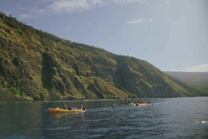 Kealakekua Bay: Kajakki- ja snorkkeliseikkailu: Opastettu kajakki- ja snorkkeliseikkailu