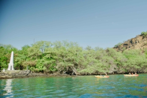 Kealakekua Bay: Kajakki- ja snorkkeliseikkailu: Opastettu kajakki- ja snorkkeliseikkailu