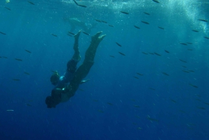 Kealakekua Bay: Kajakki- ja snorkkeliseikkailu: Opastettu kajakki- ja snorkkeliseikkailu