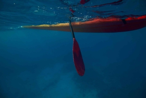 Kealakekua Bay: Kajakki- ja snorkkeliseikkailu: Opastettu kajakki- ja snorkkeliseikkailu