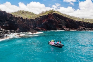 Bahía de Kealakekua: Esnórquel y Aventura Costera con Comida