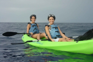 Kihei: Kayaking, Snorkeling, and Surfing Combo Experience