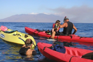 Kihei: Experiencia combinada de kayak, snorkel y surf