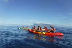 Kihei: Experiencia combinada de kayak, snorkel y surf