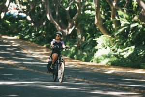 Kihei, Maui: Noleggio eBike Southside