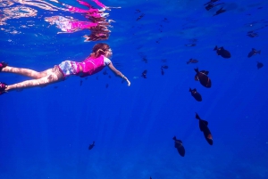 Kihei: Molokini Crater and Turtle Town Snorkel Trip 4-hrs