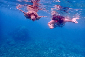 Kihei: Molokini Crater and Turtle Town Snorkel Trip 4-hrs