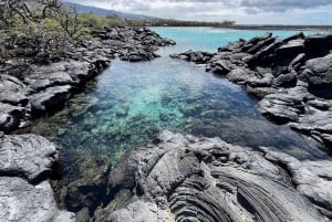 Randonnée sur la côte de Kīholo et baignade dans l'eau bleue avec des autochtones hawaïens