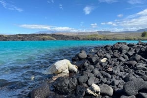 Randonnée sur la côte de Kīholo et baignade dans l'eau bleue avec des autochtones hawaïens