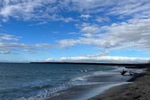 Randonnée sur la côte de Kīholo et baignade dans l'eau bleue avec des autochtones hawaïens